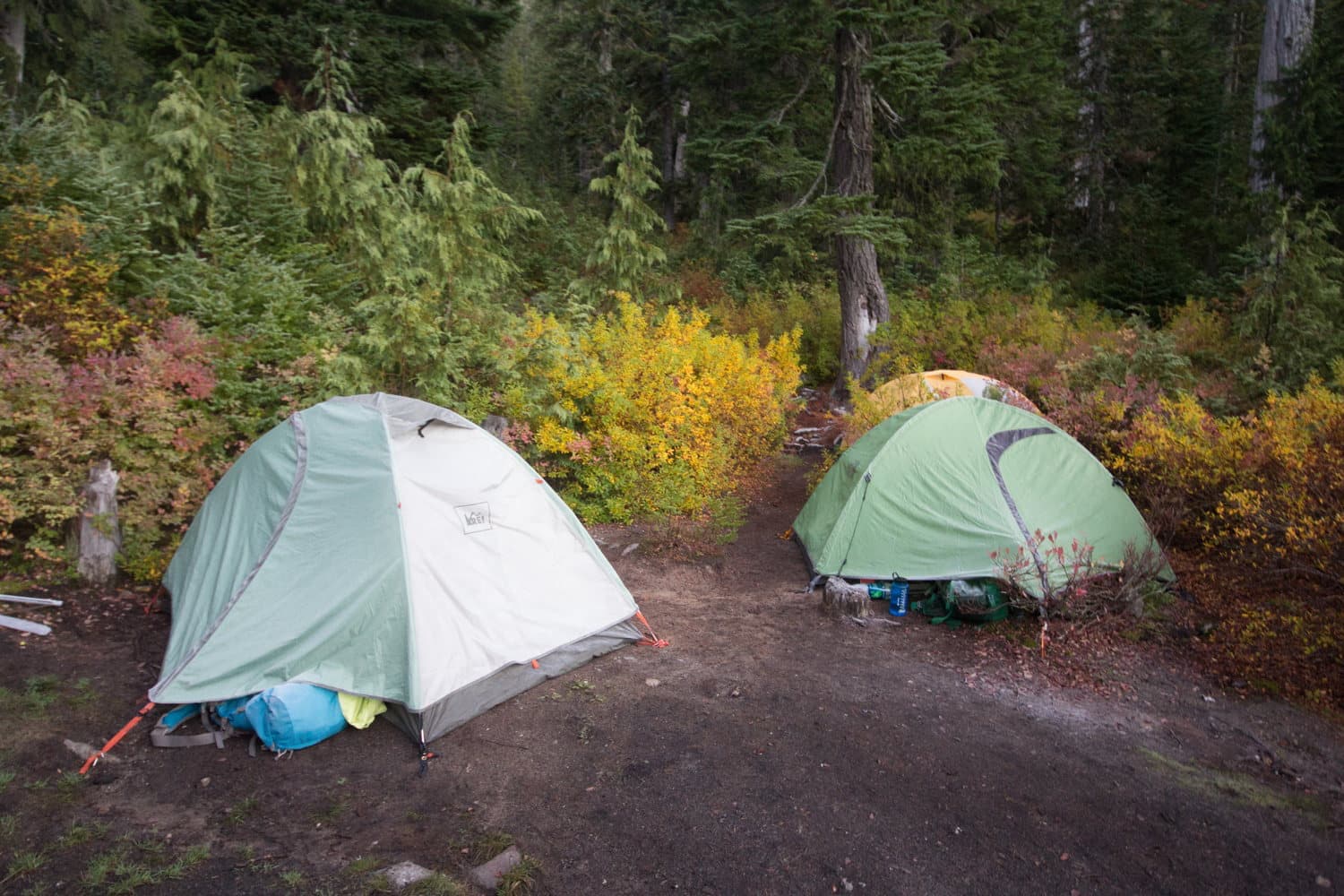 We found the perfect campground, with just enough space for our tents